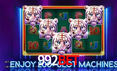 A Experiência Imersiva dos Cassinos Ao Vivo no 992bet